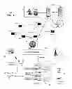 Fig. 02 - System and method for metamorphic content generation