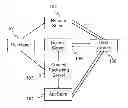 Fig. 01 - Software Authentication