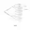 Fig. 02 - GENETICS OF GENDER DISCRIMINATION IN DATE PALM