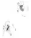 Fig. 07 - PROTECTIVE CLOTHING AND METHODS THEREOF