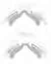 Fig. 03 - Goggle with removable noseguard