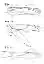 Fig. 07 - ACTUATING OPENING SYSTEM FOR FOLDING KNIFE