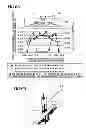 Fig. 06 - Cooling system and cooling method of rolling steel
