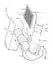 Fig. 02 - Evaporative chiller
