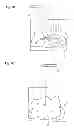 Fig. 03 - LEATHER PROCESS AUTOMATION FOR DIE CUTTING OPERATIONS