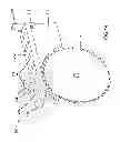Fig. 14 - Table saw guard