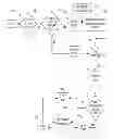 Fig. 01 - Music synchronization arrangement