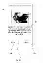 Fig. 46 - ELECTRONIC DEVICE