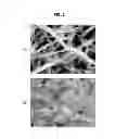 Fig. 03 - Manufacturing method for fibrous demineralized bone matrix
