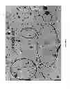 Fig. 02 - NON-SHEET FORM STRUCTURAL BUILDING ELEMENT CONTAINING GLASS CULLET & PROCESS FOR MAKING SAME
