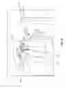 Fig. 15 - Workstation having automated and powered height, depth and rotational adjusters