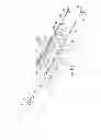 Fig. 11 - Paintball marker with split body