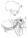 Fig. 02 - APPARATUS AND METHOD FOR RELIEVING DYSPNOEA