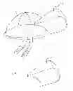 Fig. 05 - DEVICE FOR THE HINDRANCE OF SNORING AND OBSTRUCTIVE SLEEP APNEA