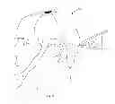Fig. 06 - DEVICE FOR THE HINDRANCE OF SNORING AND OBSTRUCTIVE SLEEP APNEA