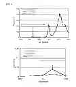 Fig. 06 - Multilayer film and manufacturing method thereof