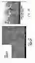 Fig. 04 - Nanostructured CIGS Absorber Surface for Enhanced Light Trapping