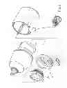 Fig. 03 - AIRTIGHT GASKET FOR PNEUMATIC TOOL