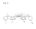 Fig. 02 - Cu-Mg-P-based copper alloy sheet having excellent fatigue resistance characteristic and method of producing the same