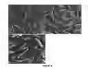 Fig. 05 - Two-stage chemi-mechanical pretreatment for lignocellulosic biomass