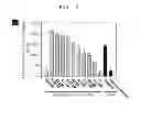 Fig. 07 - NANOHAIR STRUCTURE AND AN APPLICATION THEREFOR