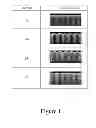 Fig. 02 - Low copper electroplating solutions for fill and defect control