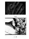 Fig. 08 - Electrochemical devices comprising graphene