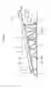 Fig. 10 - Raisable-lowerable member for crane