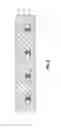 Fig. 06 - BOX HEATER SYSTEM
