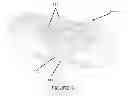 Fig. 04 - Method and apparatus for identification