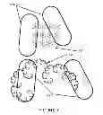 Fig. 08 - Method and apparatus for identification