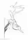 Fig. 01 - Shadow skull mounting apparatus