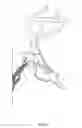Fig. 06 - Shadow skull mounting apparatus