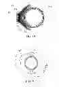Fig. 18 - Illumination apparatus which is arrangeable so as to surround an image capturing lens