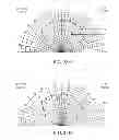 Fig. 24 - Illumination apparatus which is arrangeable so as to surround an image capturing lens