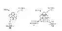 Fig. 01 - Forming 3-D nano-particle assemblies