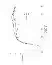 Fig. 05 - Thixotropic composition