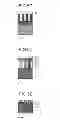 Fig. 12 - Non-volatile memory device and method of manufacturing the same