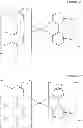 Fig. 50 - Organometallic complex and organic light-emitting diode including the same