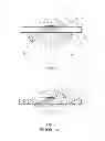 Fig. 07 - White light emitting diodes package containing plural blue light-emitting diodes