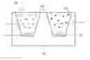 Fig. 01 - WHITE LED APPARATUS
