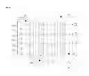 Fig. 09 - Light emitting diode having electrode pads