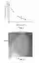 Fig. 02 - Process of making dimensionally stable nonwoven fibrous webs