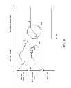 Fig. 08 - Display circuitry with dynamic pixel backlight and backlight sloping control