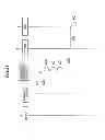 Fig. 25 - INFORMATION PROCESSING APPARATUS, INFORMATION PROCESSING METHOD AND PROGRAM, INFORMATION PROCESSING APPARATUS, VACANT SPACE GUIDANCE SYSTEM, VACANT SPACE GUIDANCE METHOD AND PROGRAM, IMAGE DISPLAY SYSTEM, IMAGE DISPLAY METHOD AND PROGRAM