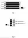 Fig. 02 - Pixel arrangement method that reduces color shift of pattern retarder glasses based 3D display system in large view angle and display panel using same