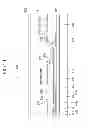 Fig. 25 - Display device