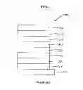 Fig. 06 - Polarizing plate and optical display including the same
