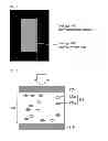 Fig. 08 - LIQUID CRYSTAL DISPLAY DEVICE