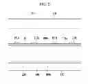 Fig. 22 - Liquid crystal display having multiple pixel regions for improved transmittance